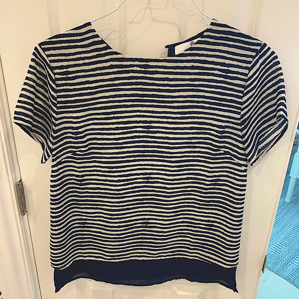 Beautiful blue and off-white zebra stripe top
